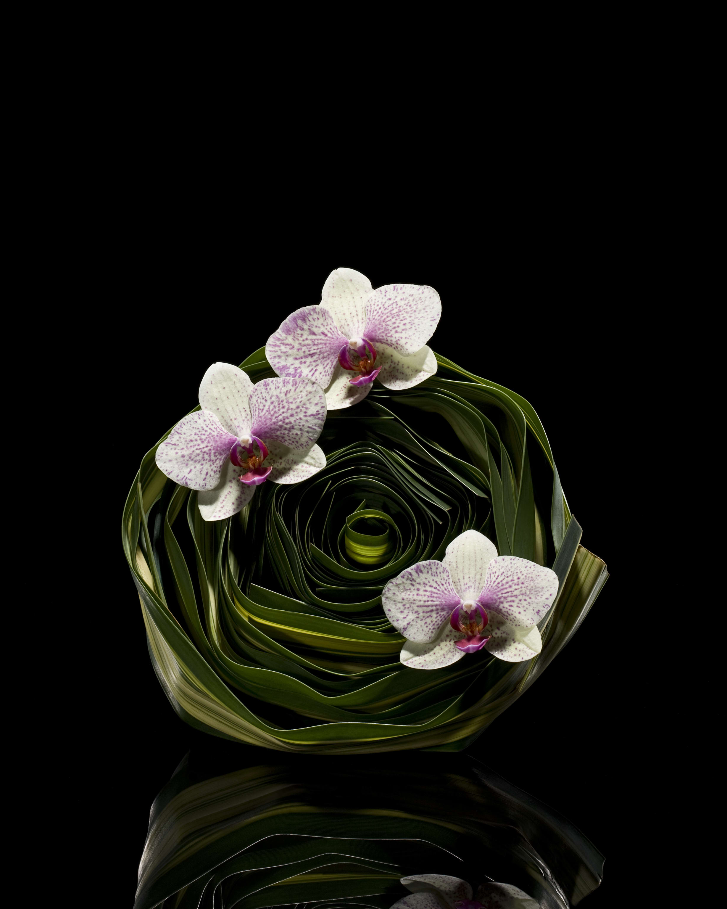 Armani_Fiori_Floral_Collections_038